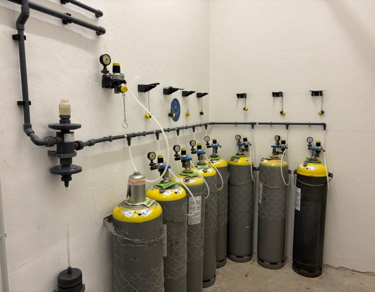 Chemikalien und Wasserpflege rund ums schwimmbad